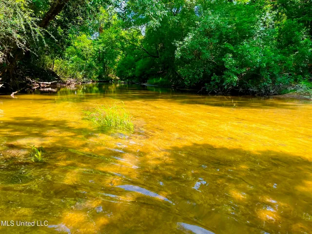 $157,850 | Twin Bridge Road, Sandy Hook, MS 39478