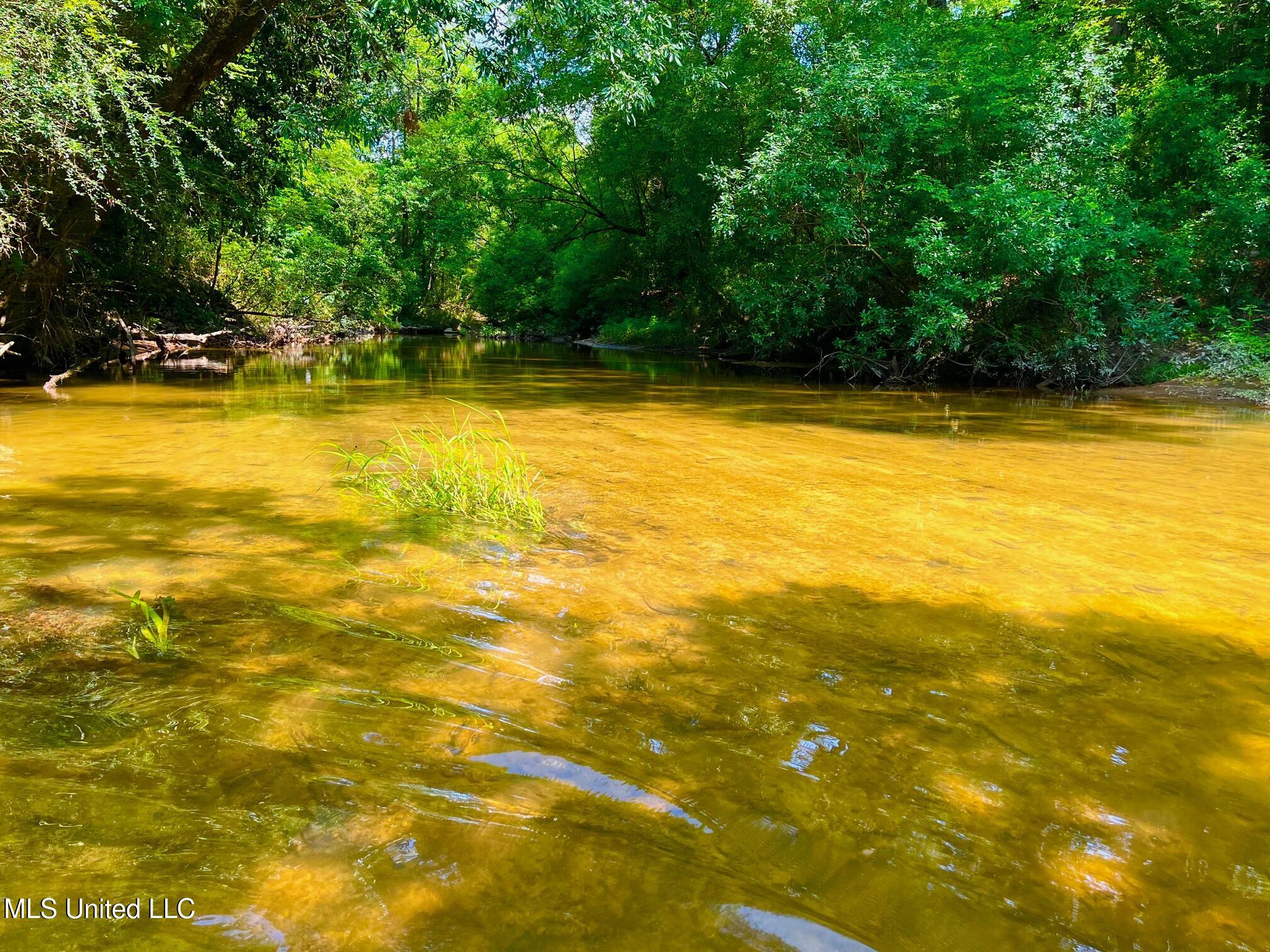 Twin Bridge Road Sandy Hook, MS 39478 - Photo 8 of 15 ww9