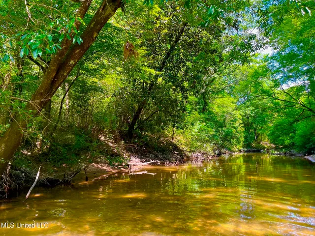 $157,850 | Twin Bridge Road, Sandy Hook, MS 39478