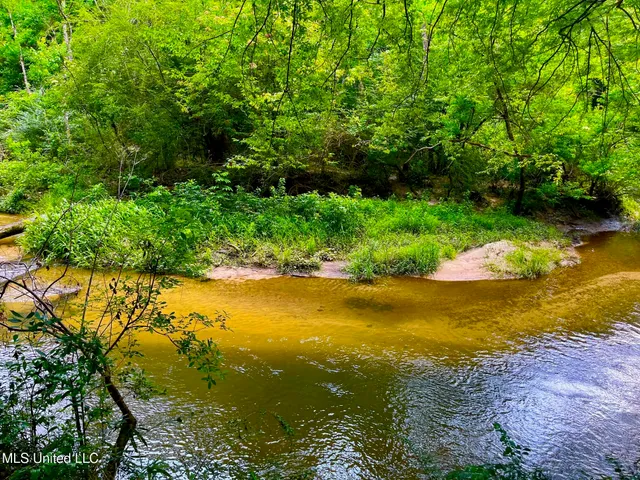 $157,850 | Twin Bridge Road, Sandy Hook, MS 39478