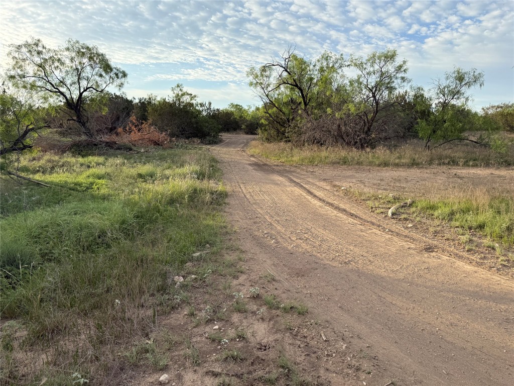 Undisclosed Address Millersview, TX 76862 - Photo 16 of 20 a view of a field with trees in background