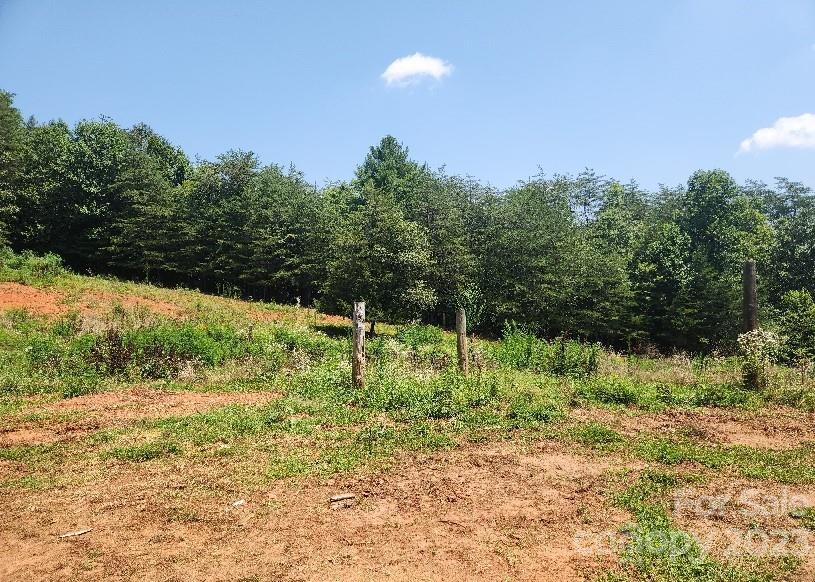 1044 Ray's Place Lenoir, NC 28645 - Photo 4 of 4 a backyard of a house with lots of green space