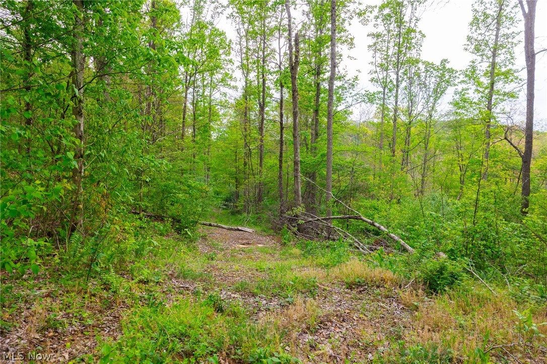 37795 Sheepskin Ridge Road Lower Salem, OH 45745 - Photo 14 of 31