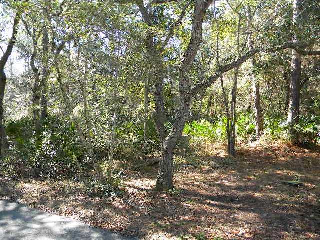 Lot #14 Adair Lane Santa Rosa Beach, FL 32459 - Photo 4 of 5 a backyard of a house with lots of green space