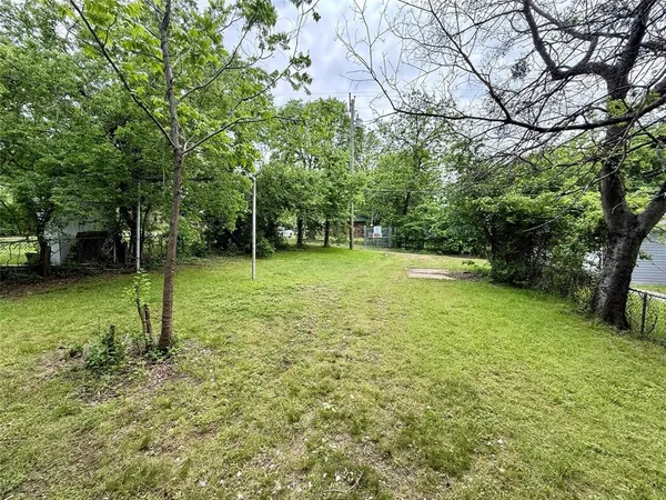a view of a field with a tree