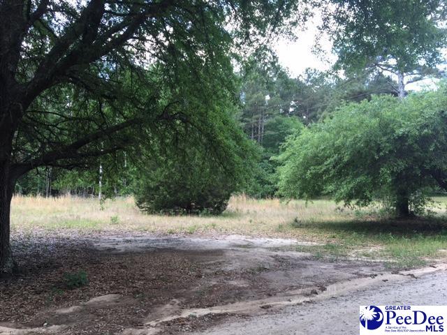 0 Lattaker Road Bennettsville, SC 29512 - Photo 1 of 1 Gallery Image 1