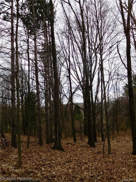 0 West Buno Road Milford, MI 48381 - Photo 26 of 28