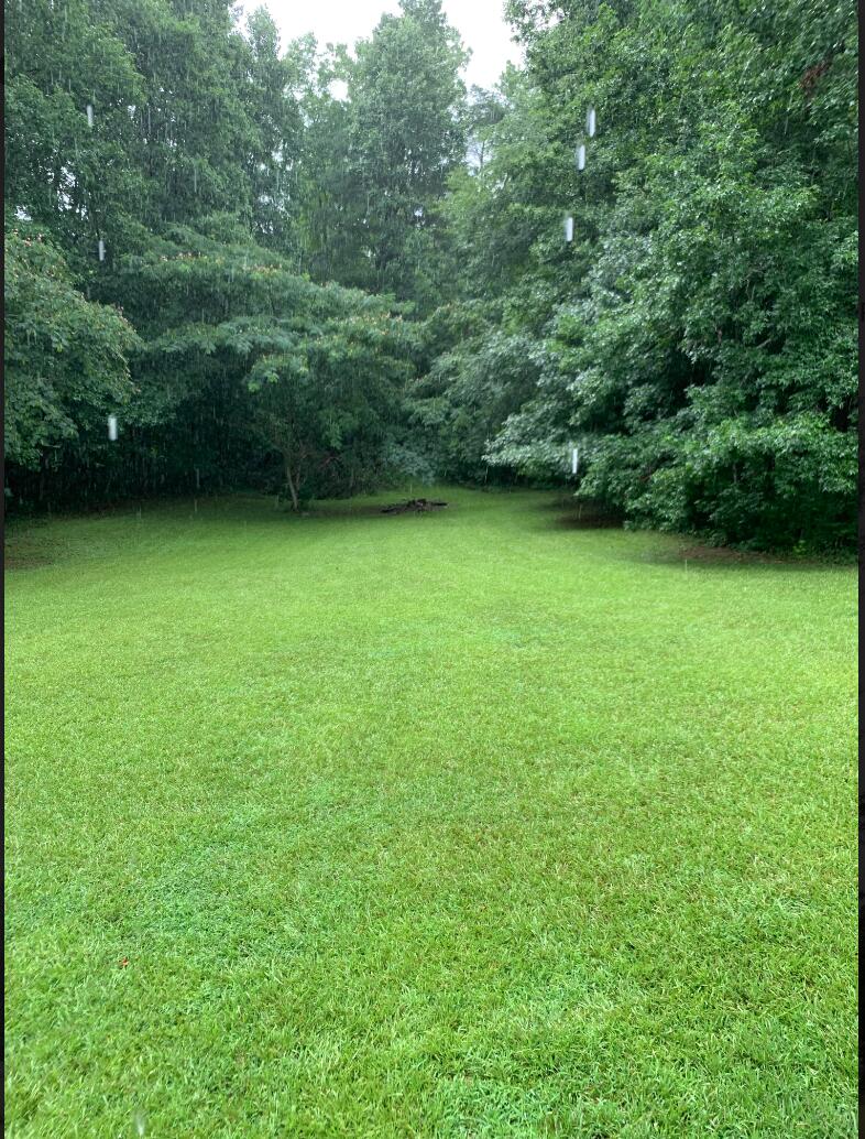 204 Lake Ridge Road Chickamauga, GA 30707 - Photo 3 of 22 Screen Shot 2022-07-19 at 6.38.03 PM
