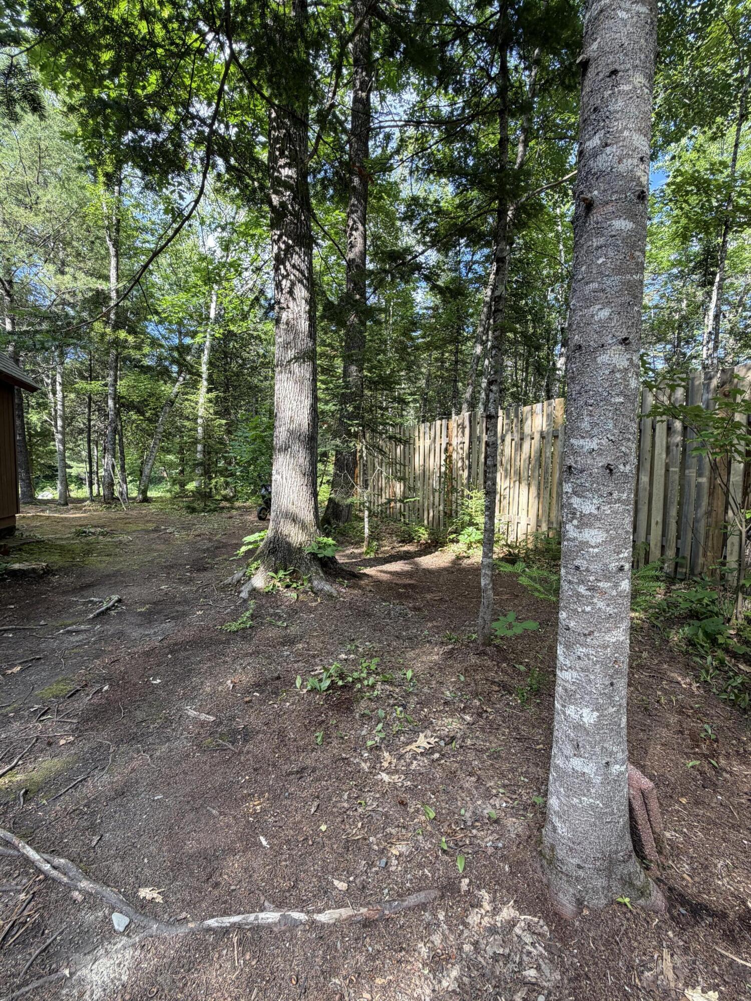 6 Maple Drive Abbot, ME 04406 - Photo 10 of 107 IMG_4550