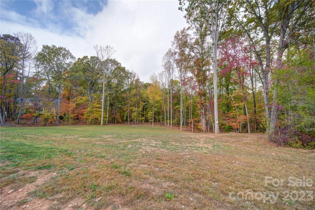 776 Top Ridge Lane Clover, SC 29710 - Photo 3 of 10 Gallery Image 3