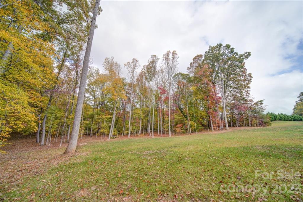776 Top Ridge Lane Clover, SC 29710 - Photo 8 of 10 Gallery Image 8