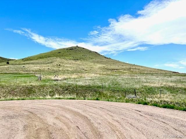 11977 Haskell Creek Road Larkspur, CO 80118 - Photo 11 of 29