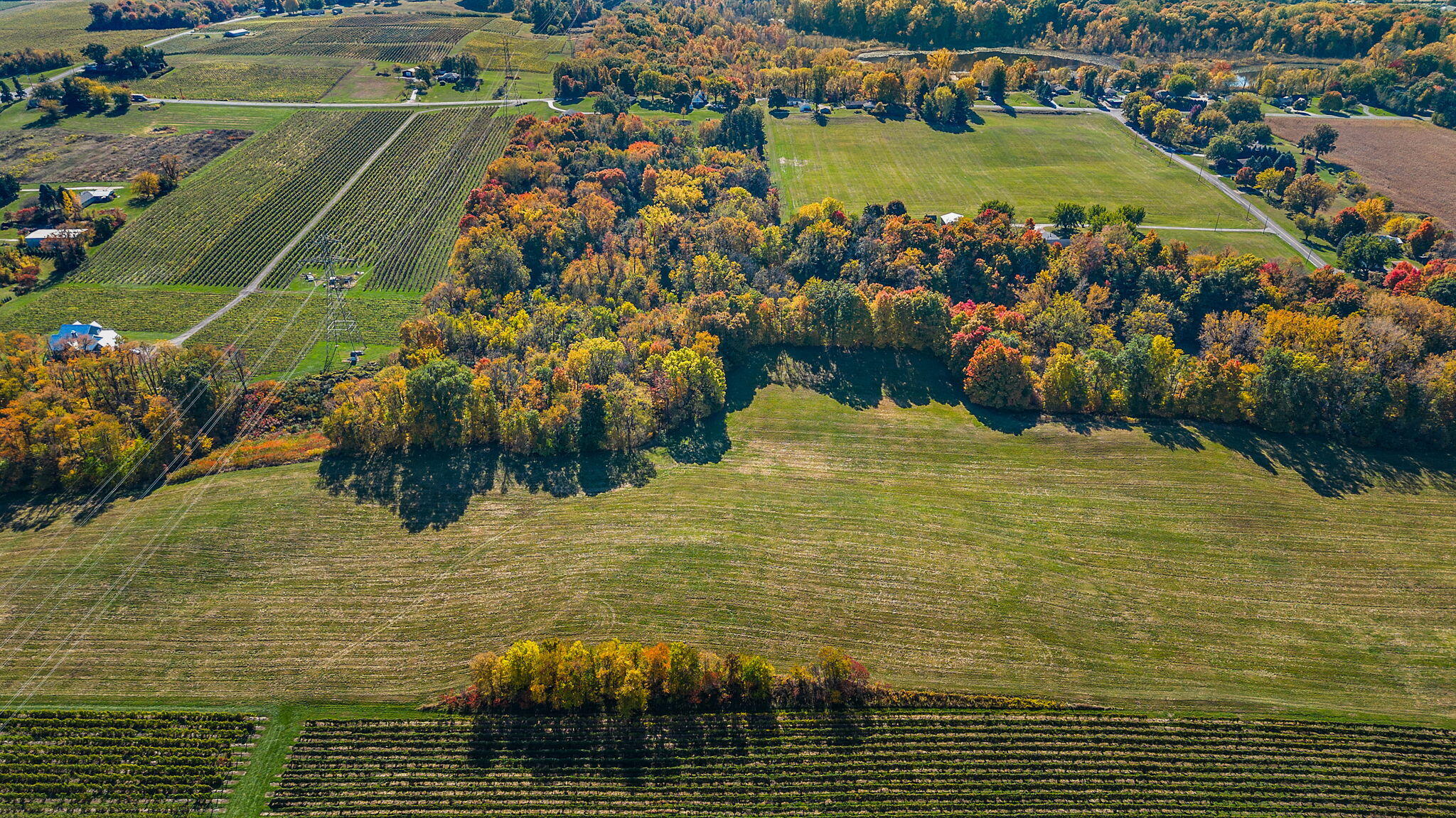 Gray Road, Unit PARCEL C Baroda, MI 49101 - Photo 2 of 7 50-web-or-mls-DJI_0714