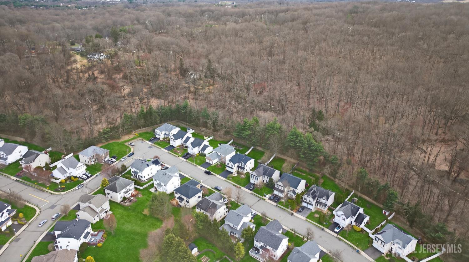 351 Wedgewood Road Morganville, NJ 07751 - Photo 3 of 74 a picture of flowers