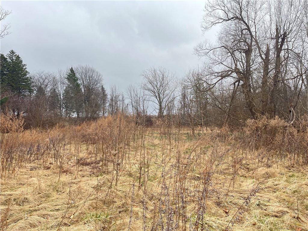 0 Ridge Road West Brockport, NY 14420 - Photo 1 of 1 Property has been regraded and is relatively flat