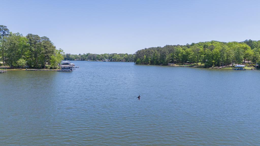 218 Breazeale Road Greenwood, SC 29646 - Photo 38 of 43 Gallery Image 38