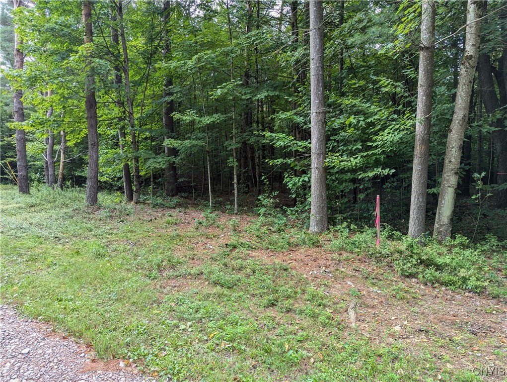 5092 Rugby Road Brantingham, NY 13312 - Photo 1 of 1