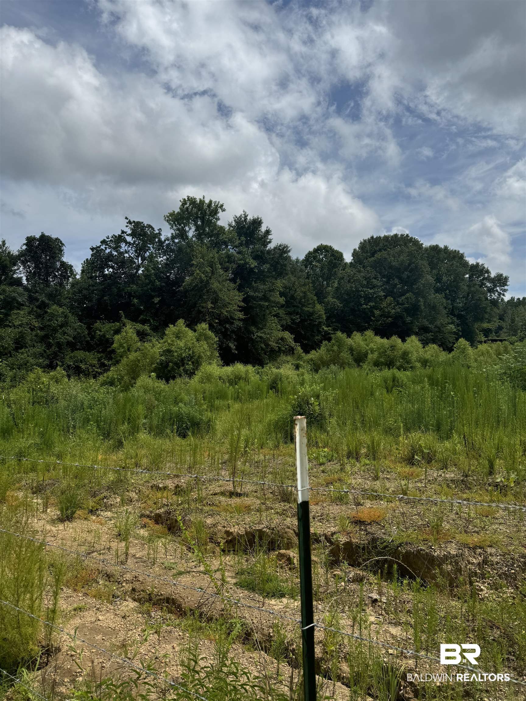 0 Deer Creek Road Monroeville, AL 36460 - Photo 9 of 19 View of local wilderness