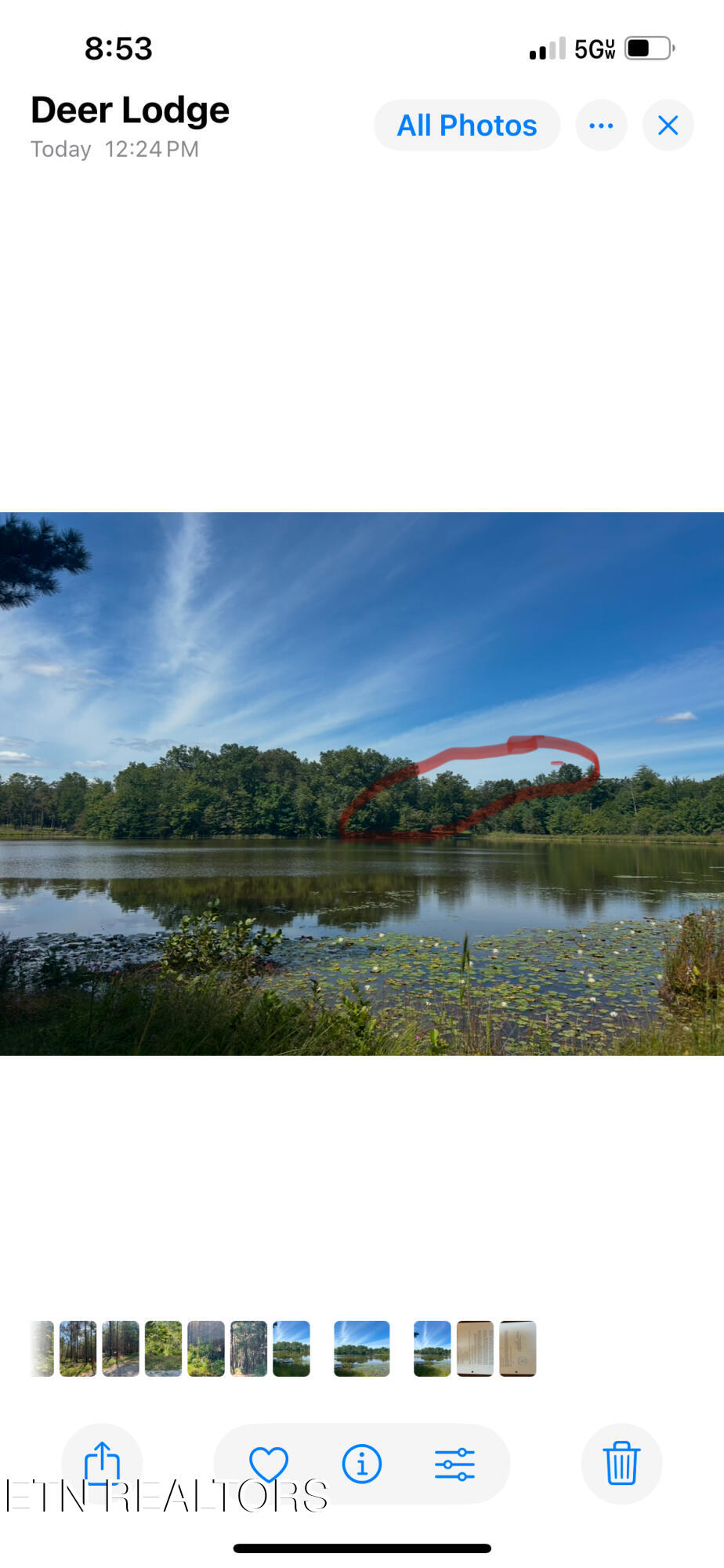 241 Star Lake Way Deer Lodge, TN 37726 - Photo 5 of 13 IMG_0514