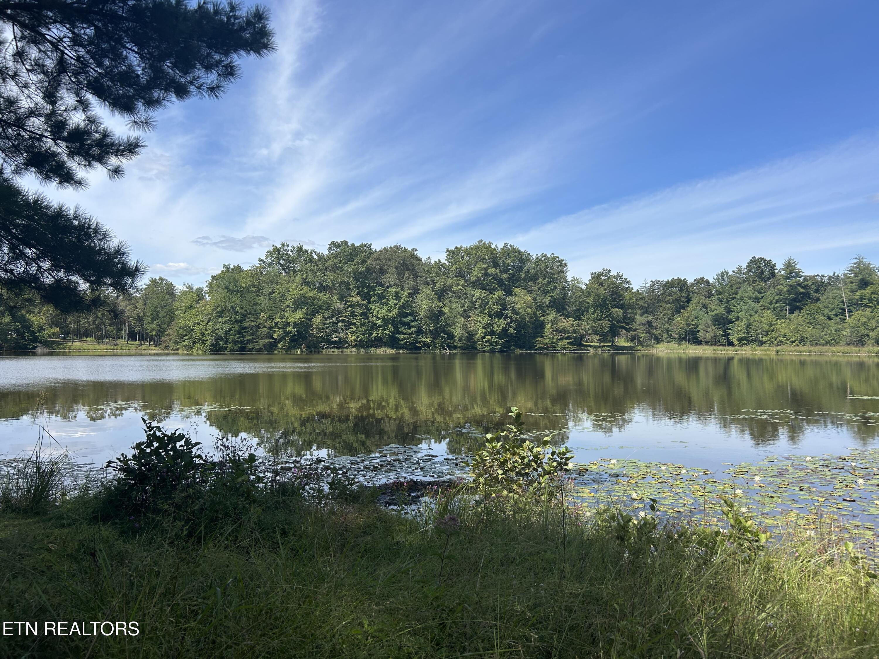 241 Star Lake Way Deer Lodge, TN 37726 - Photo 8 of 13 IMG_0509