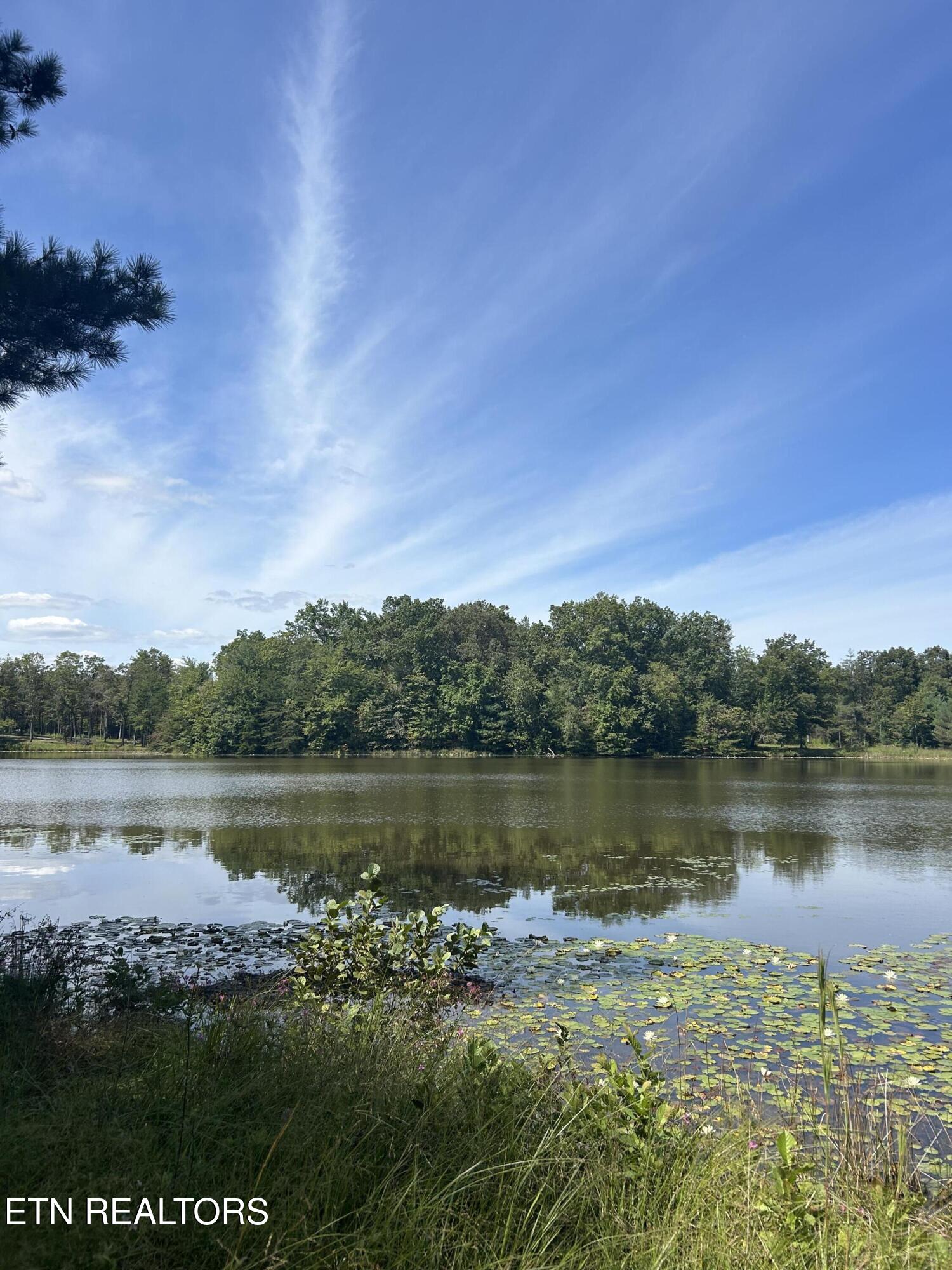241 Star Lake Way Deer Lodge, TN 37726 - Photo 9 of 13 IMG_0511