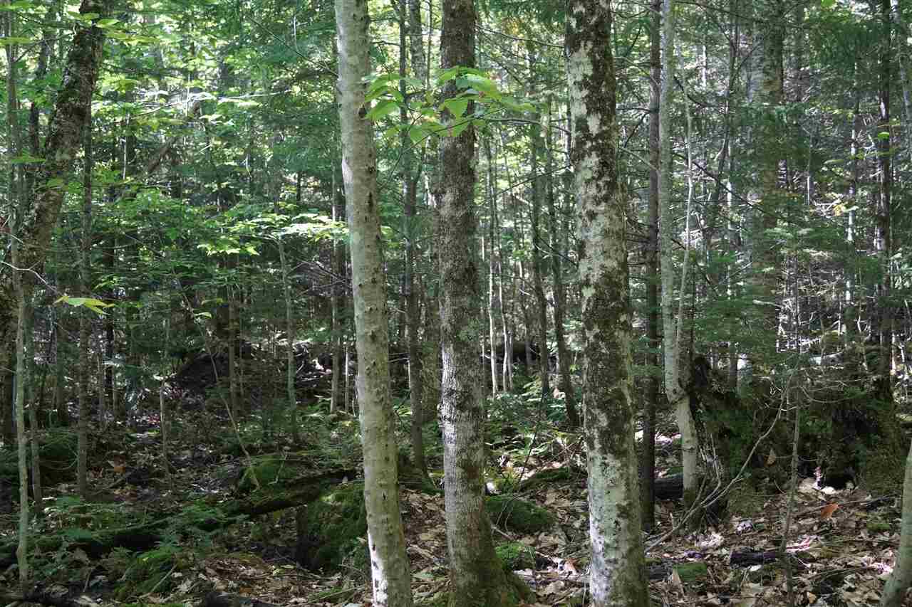 102 Nellie Chase Road Middlesex, VT 05602 - Photo 8 of 10