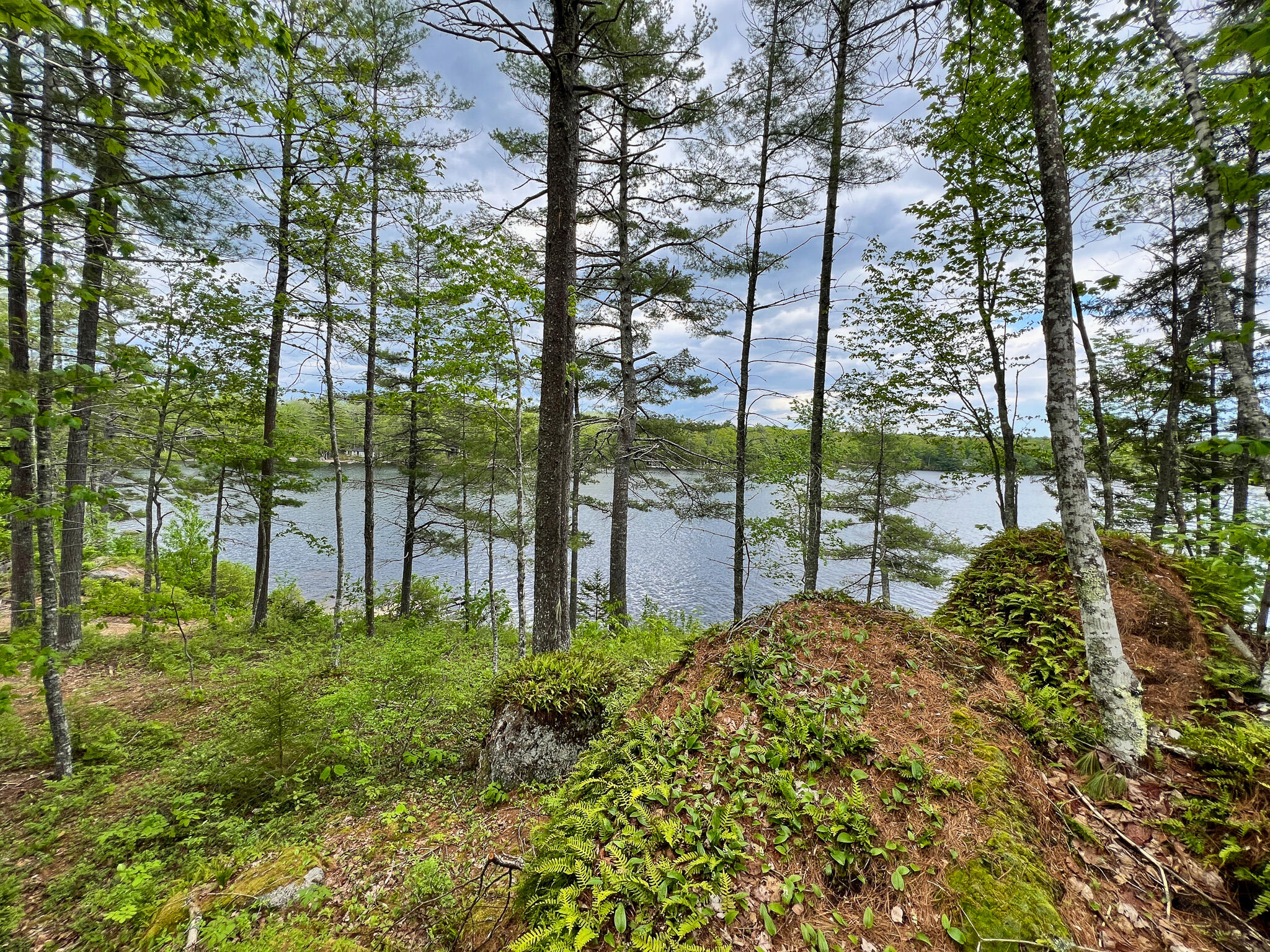 63 Short Point Way Penobscot, ME 04476 - Photo 13 of 37 13