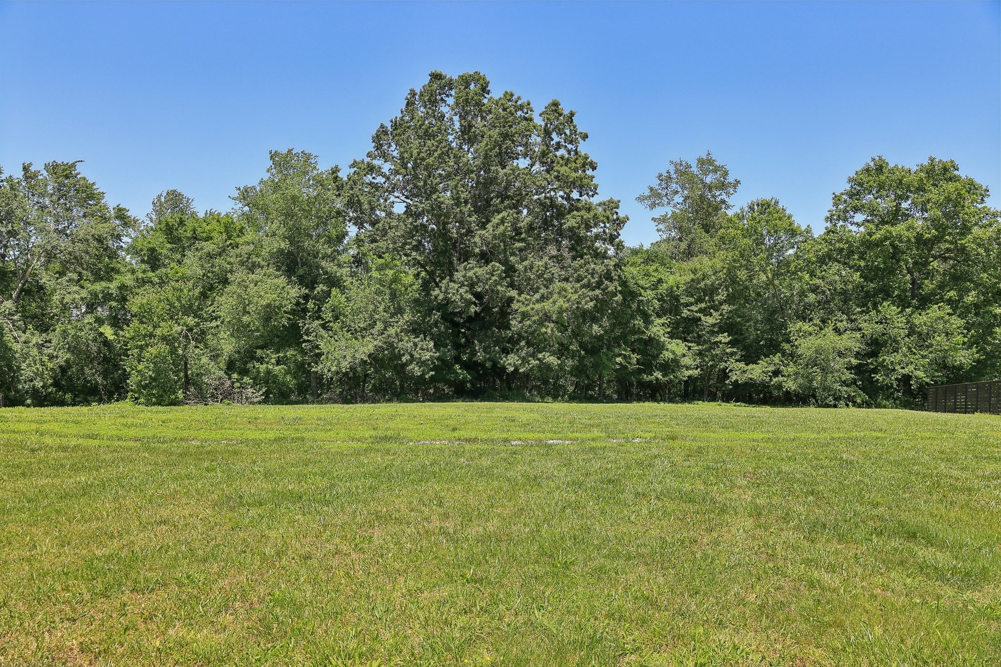 1373 Southside Road Southside, TN 37171 - Photo 48 of 56 a view of a field with trees in the background