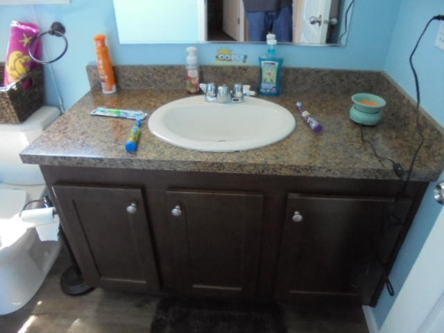 1400 Deaner Road Northeast Edmore, MI 48829 - Photo 29 of 29 DSC06594