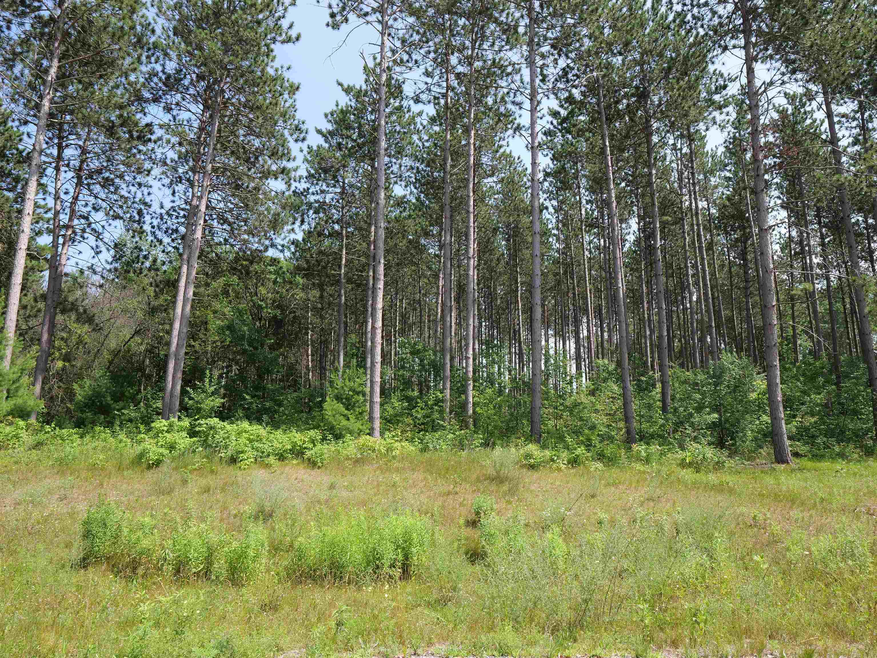 Lot 6 Two Sisters Court Stevens Point, WI 54482 - Photo 3 of 9