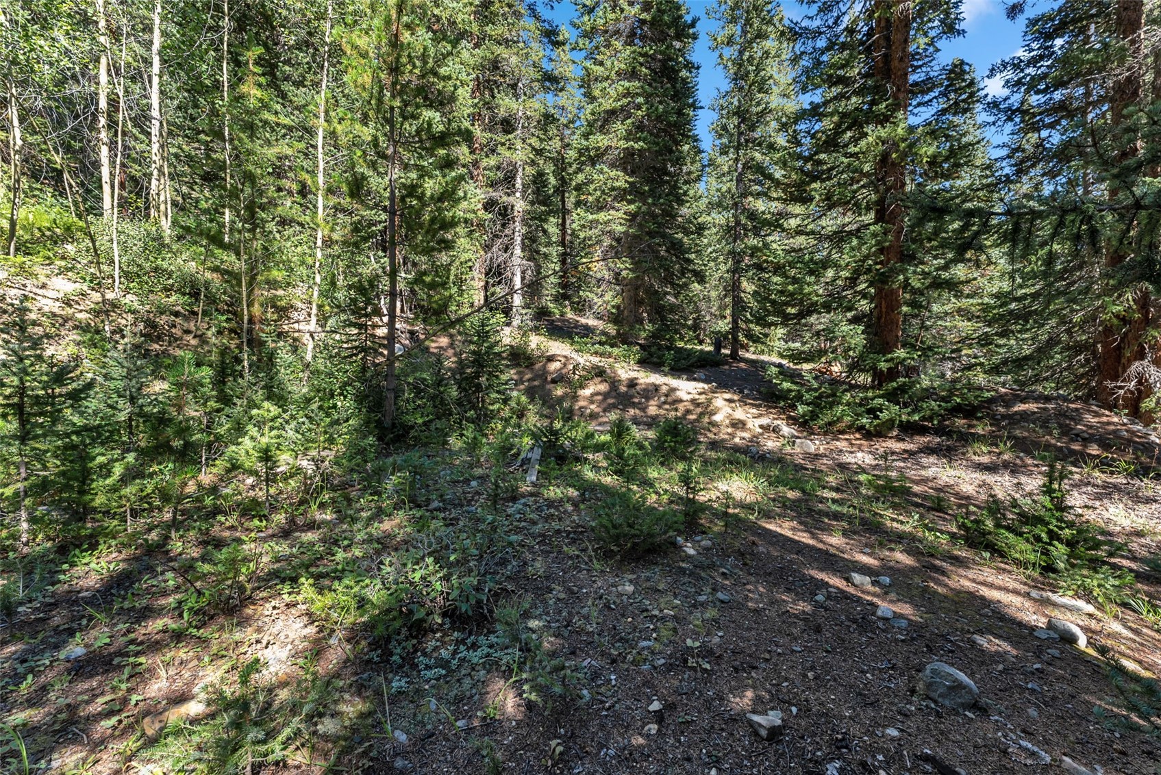 289 Ridge Road Alma, CO 80420 - Photo 24 of 25 Gallery Image 24