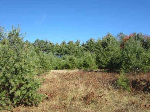 12-lots 12-lots Sand Lake Road Mercer, WI 54547 - Photo 8 of 20 Gallery Image 8