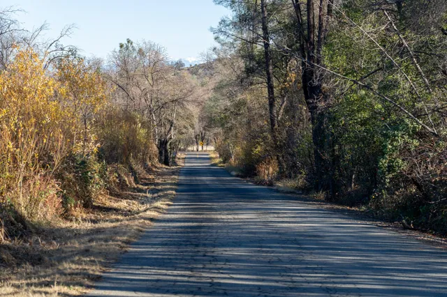 a view of outdoor space with wooden floor