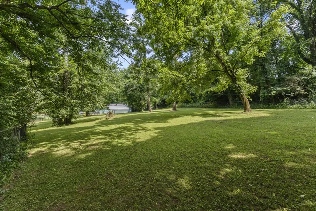 a swimming pool with lots of trees
