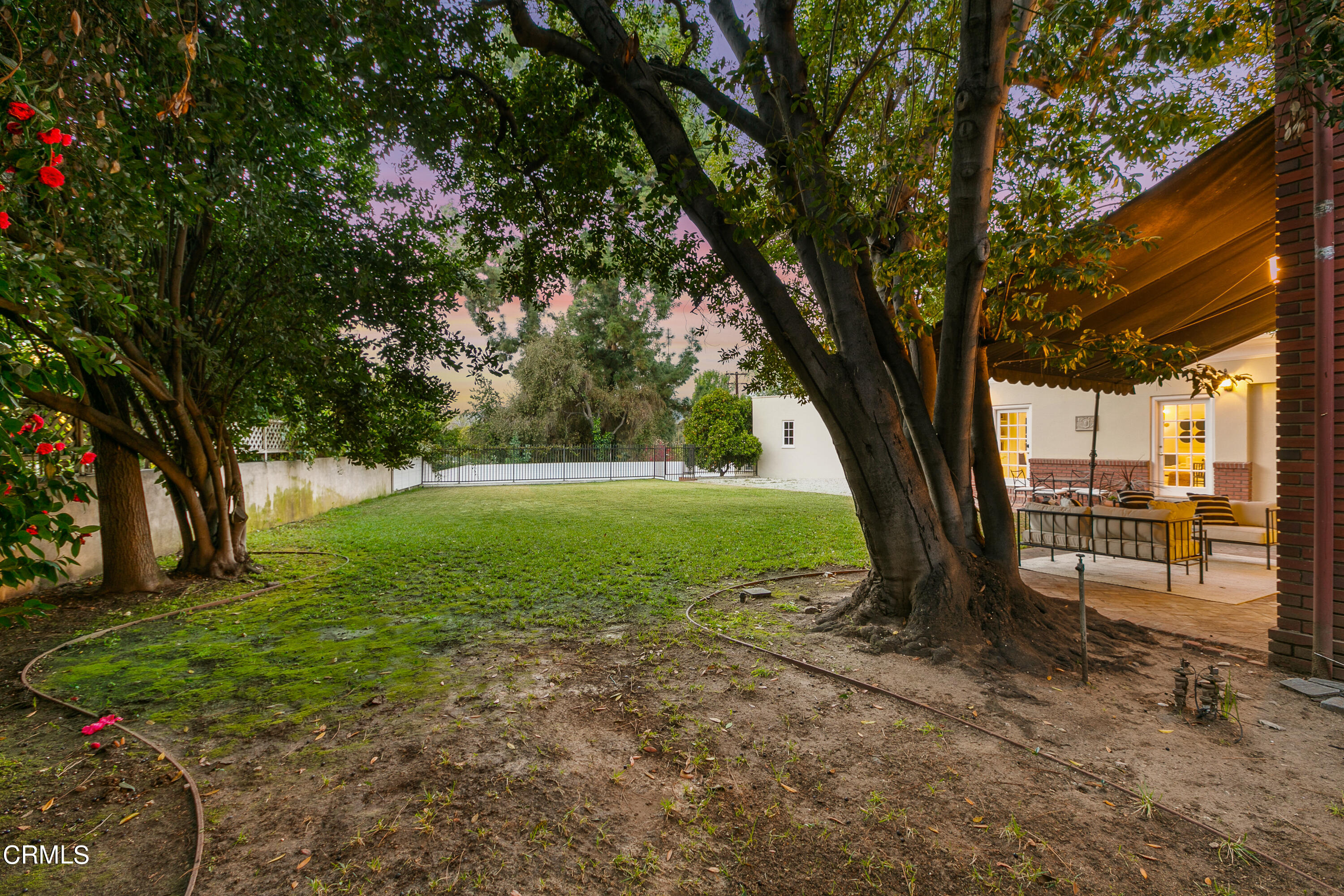 445 Prospect Square Pasadena, CA 91103 - Photo 50 of 55 a view of a garden with a tree
