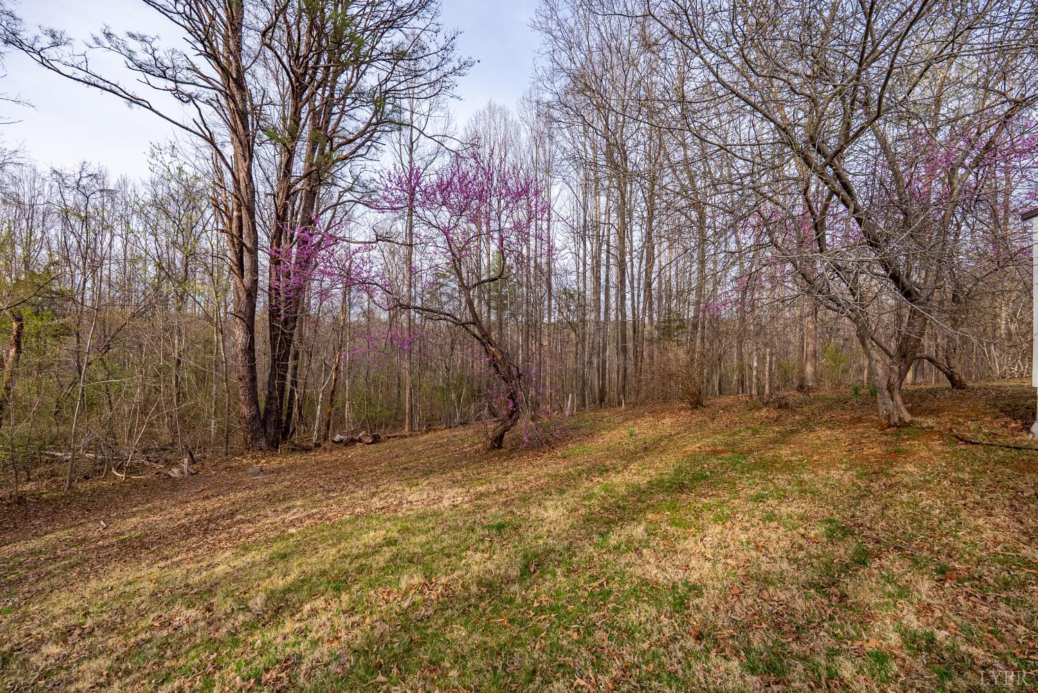 997 Toytown Road Amherst, VA 24521 - Photo 37 of 50