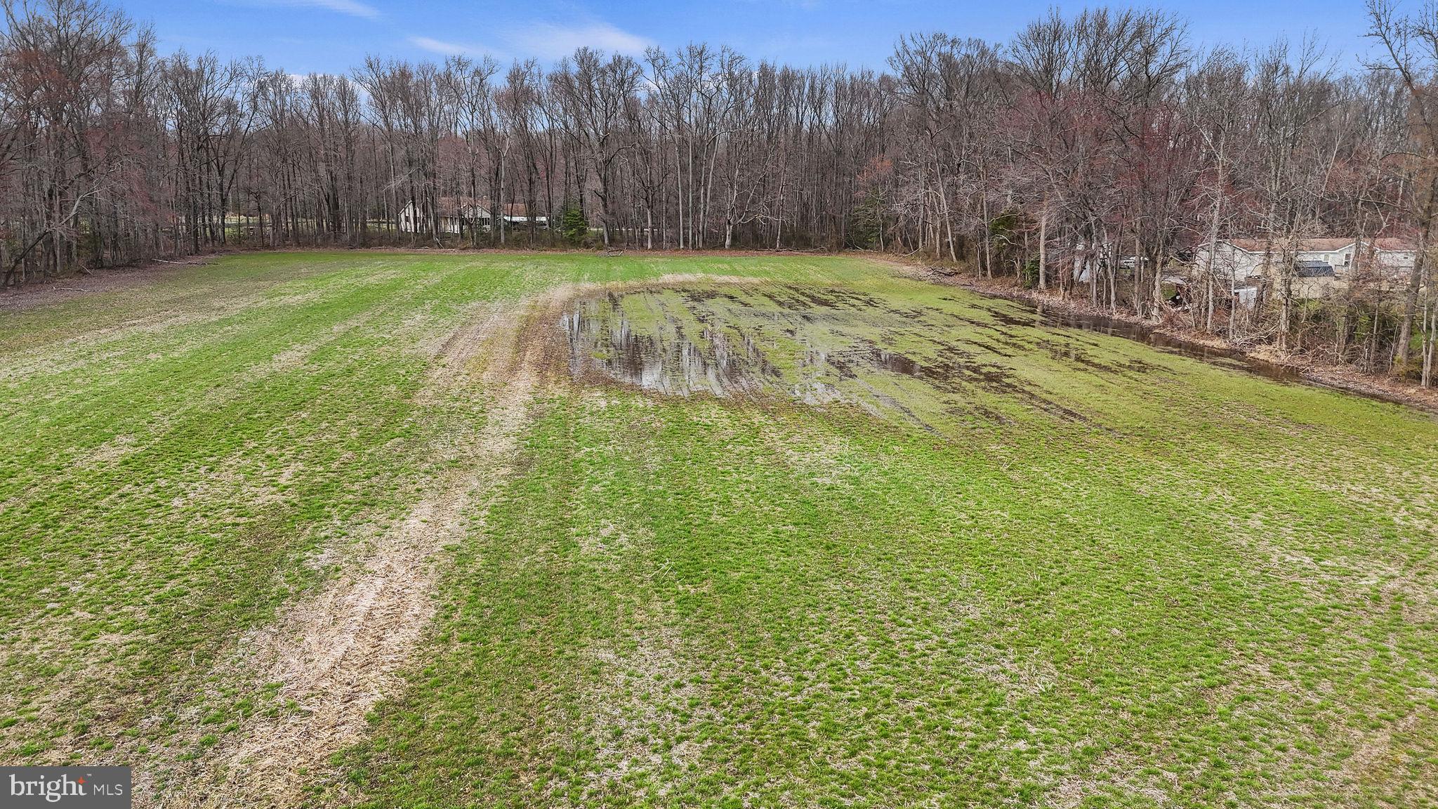 Tbd Downs Chapel Road Clayton, DE 19938 - Photo 3 of 12 Expansive green field with serene woods.