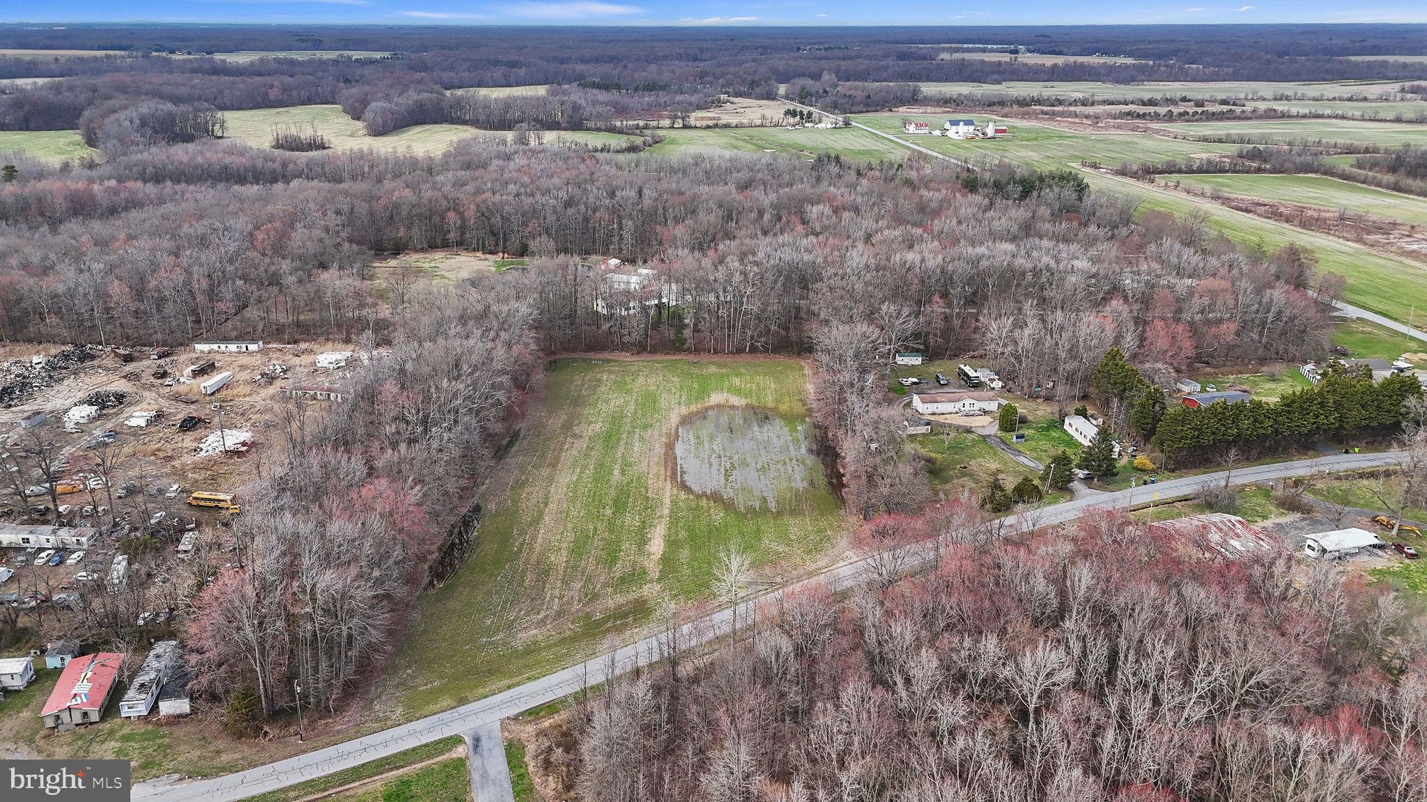 Tbd Downs Chapel Road Clayton, DE 19938 - Photo 6 of 12 Serene landscape with wooded backdrop.