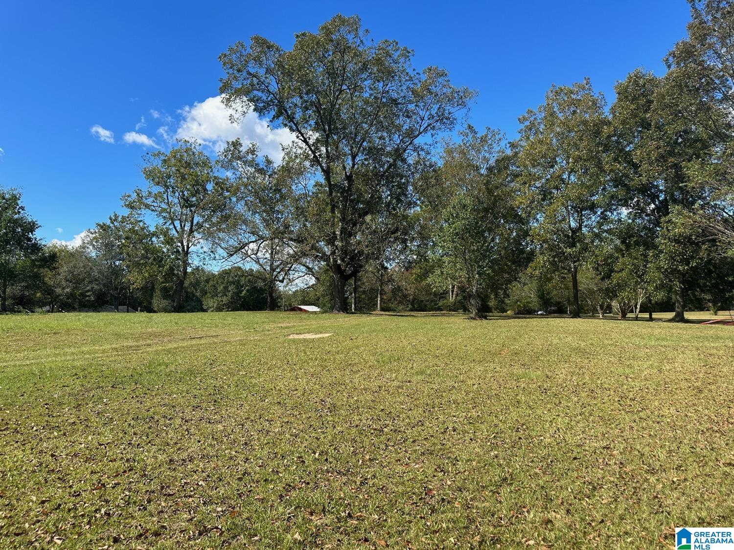30517 Straughn School Road Andalusia, AL 36421 - Photo 2 of 6