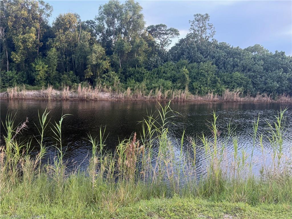 66th Street Southwest Naples, FL 34105 - Photo 3 of 9 a view of a lake in a forest