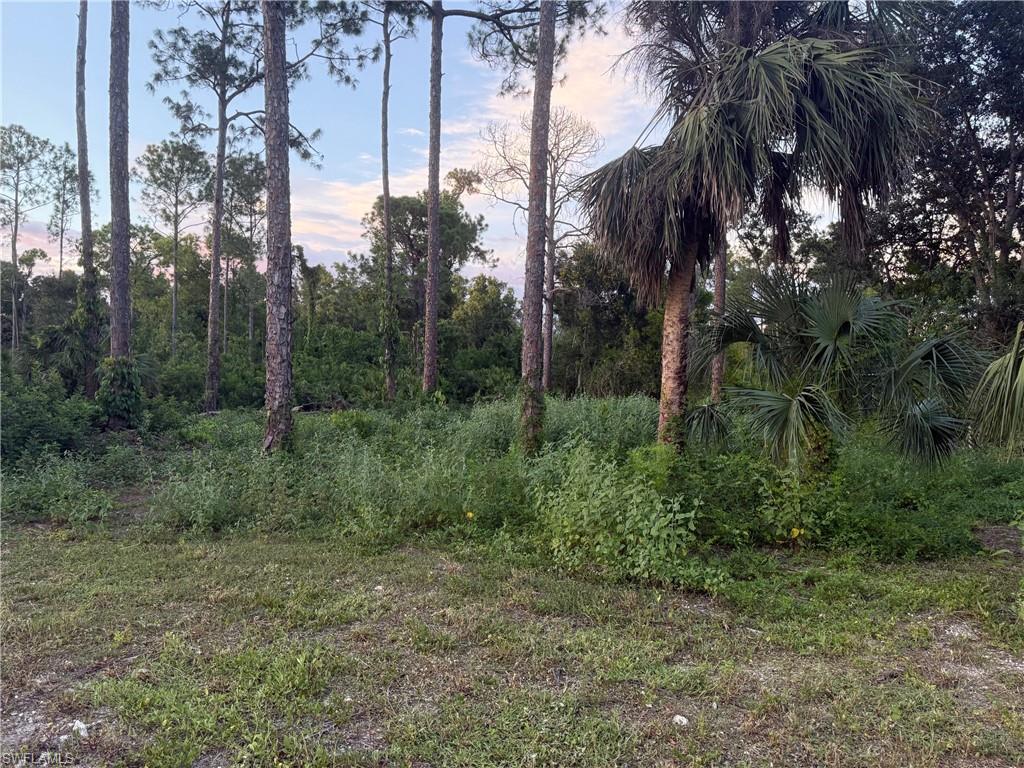 66th Street Southwest Naples, FL 34105 - Photo 5 of 9 a view of forest