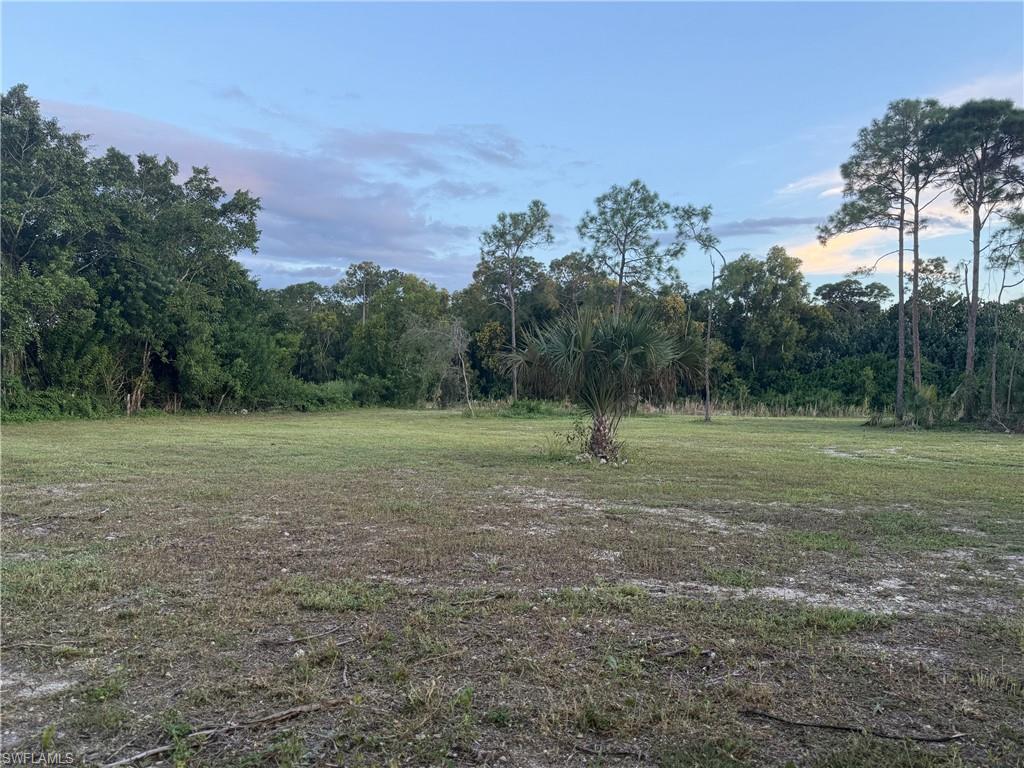 66th Street Southwest Naples, FL 34105 - Photo 7 of 9 a view of a field with trees in background