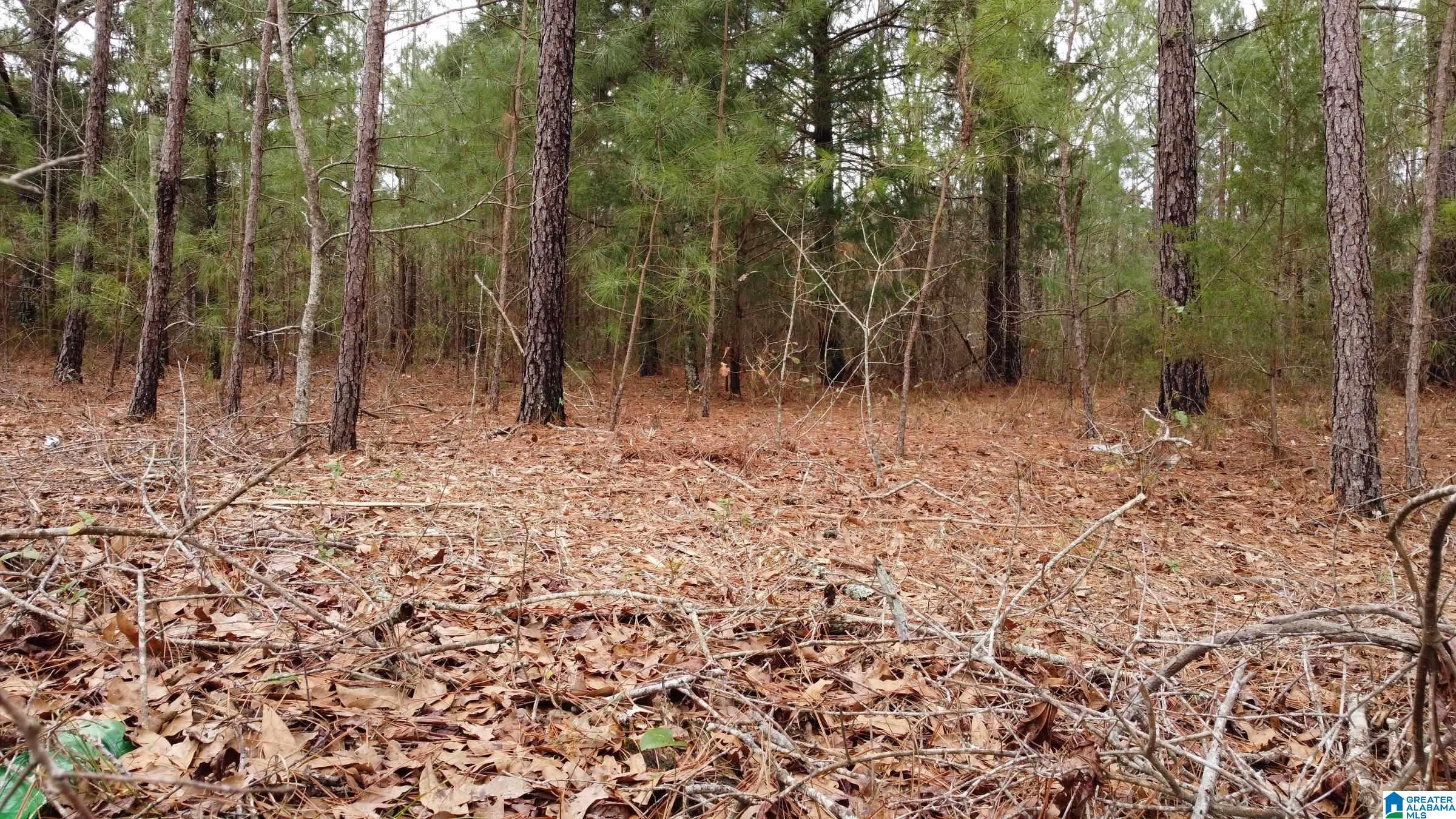 0 County Road 511, Unit 1 Verbena, AL 36091 - Photo 4 of 10