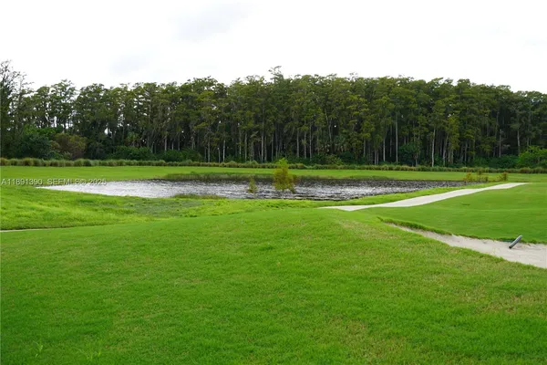 a view of a grassy field with trees