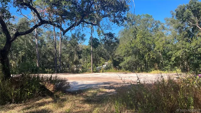 a view of outdoor space and trees all around