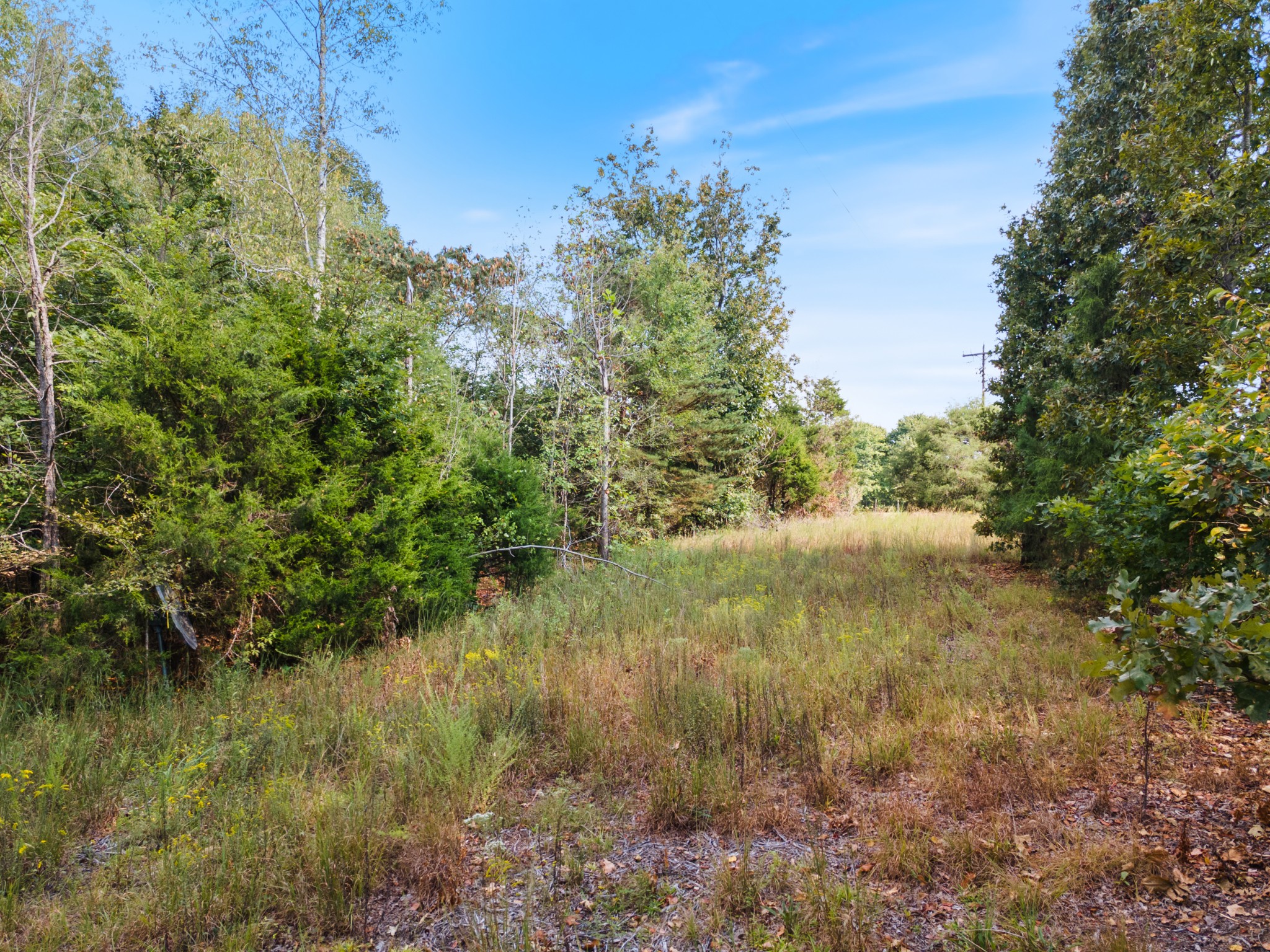 2725 She Boss Road Duck River, TN 38454 - Photo 3 of 14 Gallery Image 3
