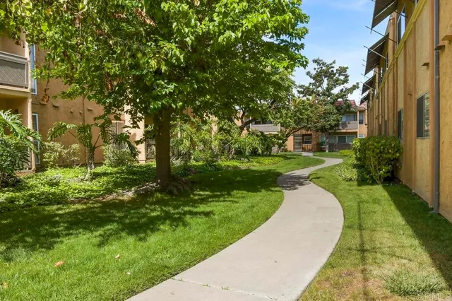a view of a swimming pool with a garden
