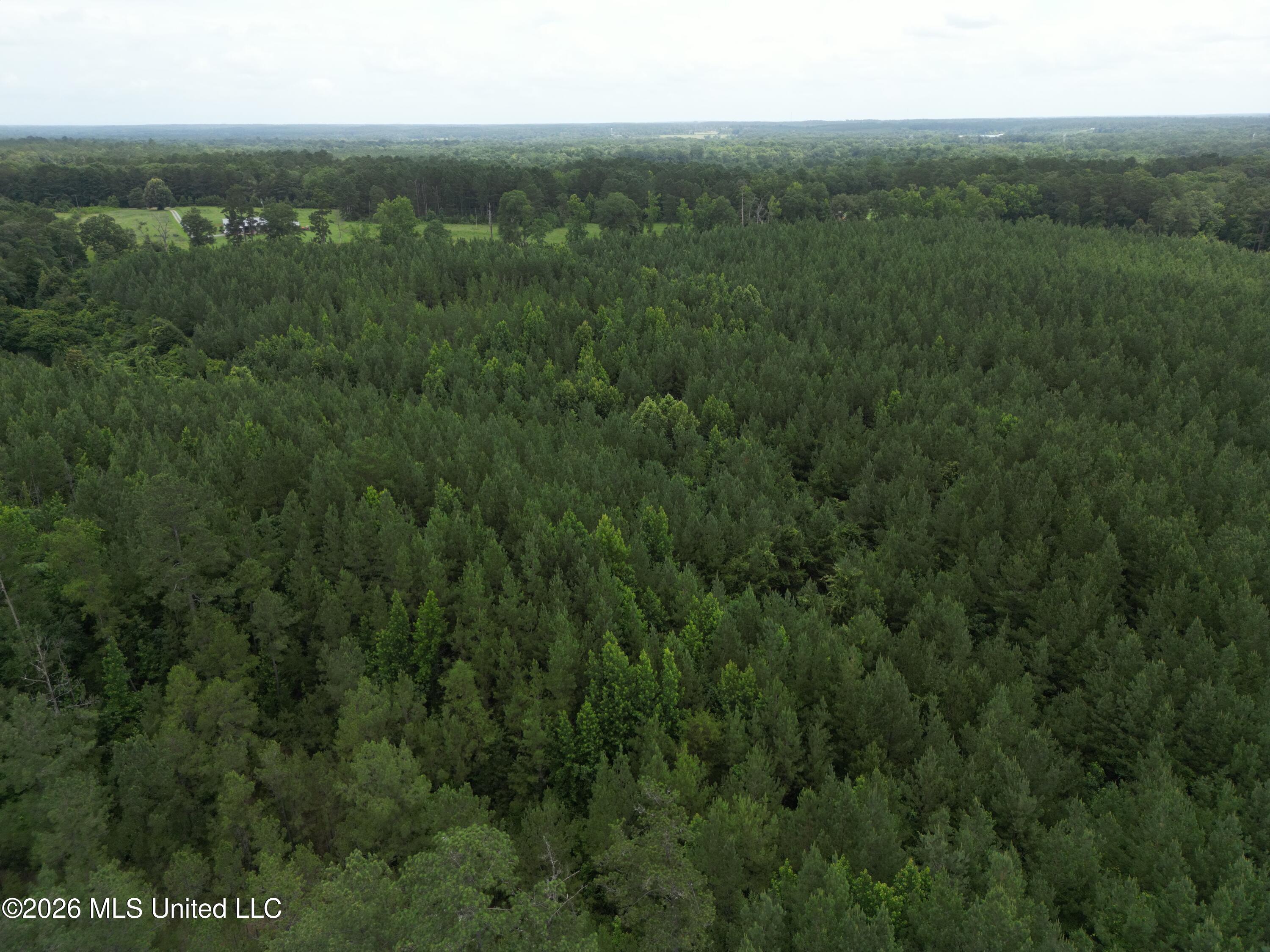 Summit Holmesville Road McComb, MS 39648 - Photo 26 of 29 DJI_0635
