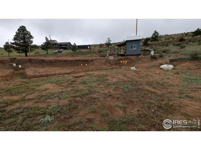a open area with lots of trees