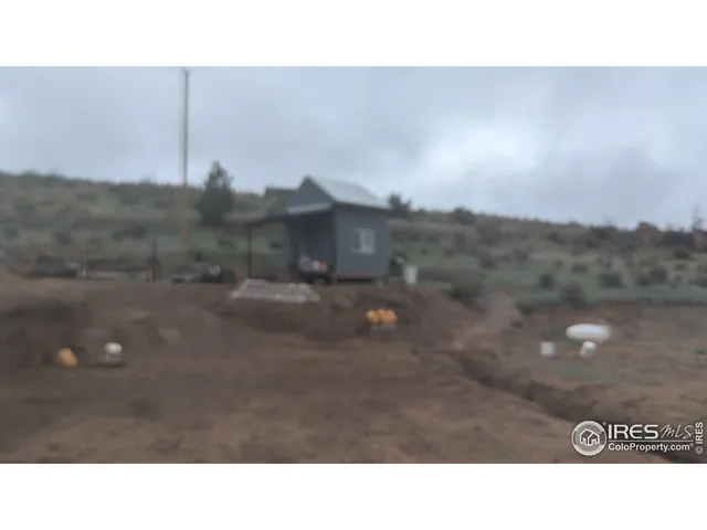 a black and white photo of a forest